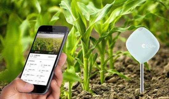 三农日报|政策:推广绿色高效养殖装备技术;农产品加工是农业收入主要