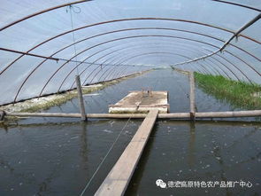 云南德宏州农业局组织技术团队赴上海学习特种水产养殖成效明显